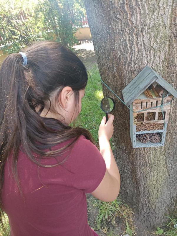 IMG_20250603_132704.jpg - náhled