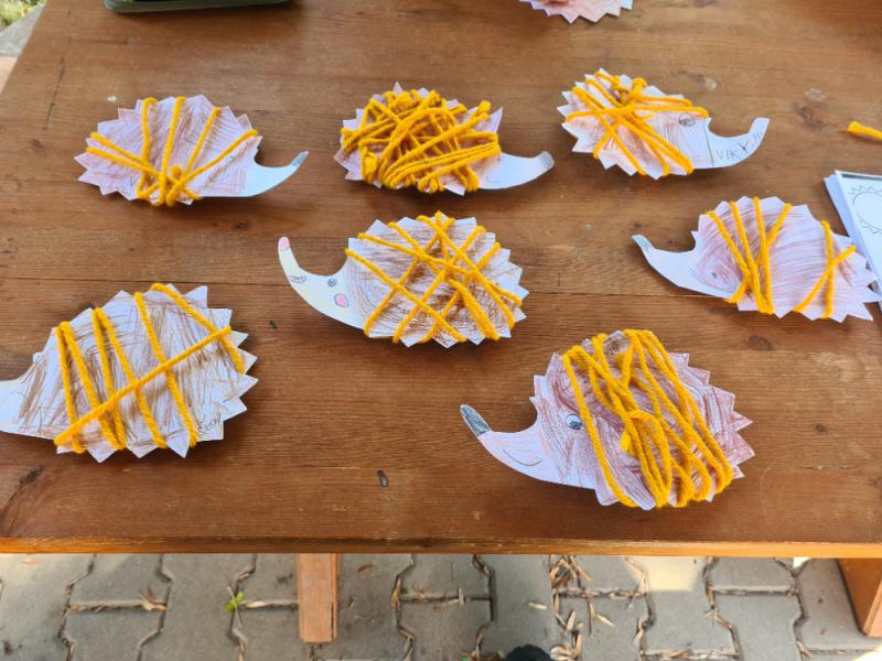 20250915_130338.jpg - náhled