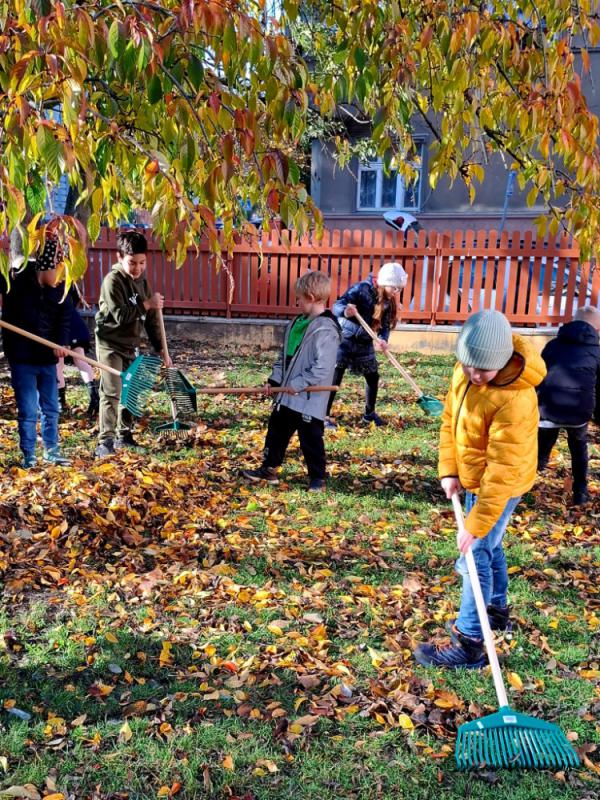 IMG-20251106-WA0001.jpg - náhled