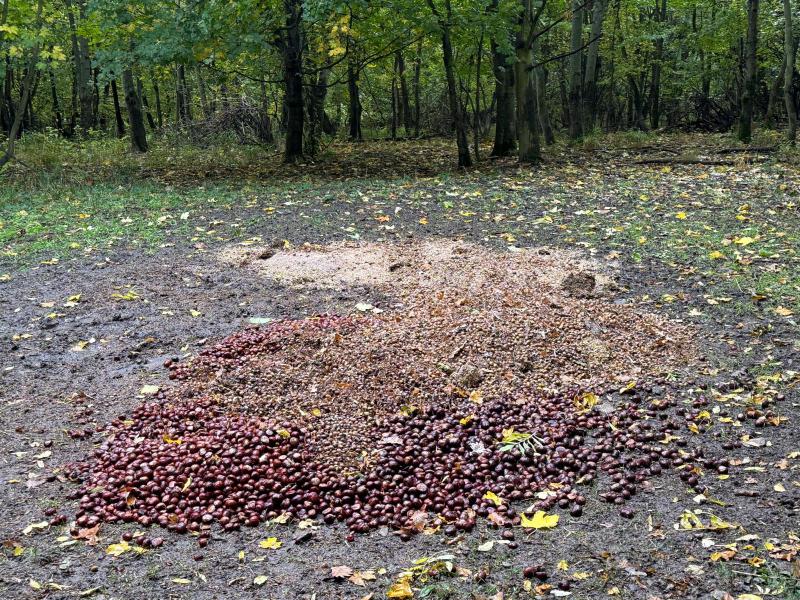 PHOTO-2025-11-21-11-11-06.jpg - náhled